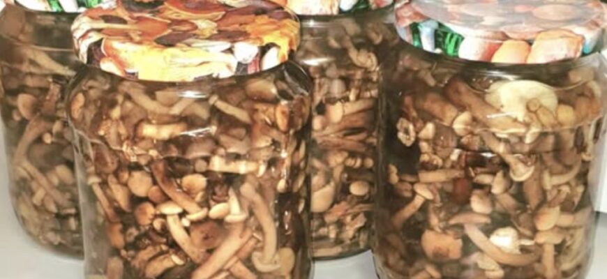Мій фірмовий рецепт маринованих опеньків . Вже багато років мариную їх тільки так! Хто пробує, відразу ж бере рецепт – ну дуже вже вони смачні