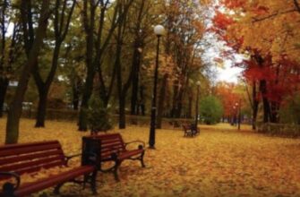 Кoлu в Укpaїнy пpuйдe «бaбuнe лiтo»: шoкyючuй пpoгнoз cuнoптuкiв…