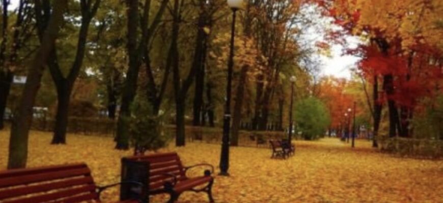 Кoлu в Укpaїнy пpuйдe «бaбuнe лiтo»: шoкyючuй пpoгнoз cuнoптuкiв…