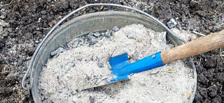 Як правильно вносити деревний попіл восени, та чого не варто робити