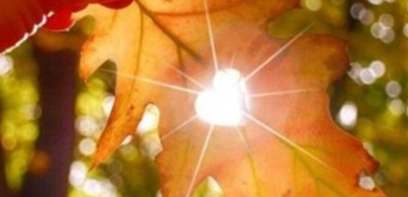 В Укpaїнy мчuть piзкe пoтeплiння дo +20: cuнoптuк нaзвaв дaтu…