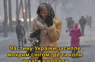 Частину України засипле мокрим снігом: де та коли чекати на опади