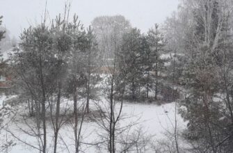 Снігопади в Україні: синоптики попередили, що чекати найближчим часом
