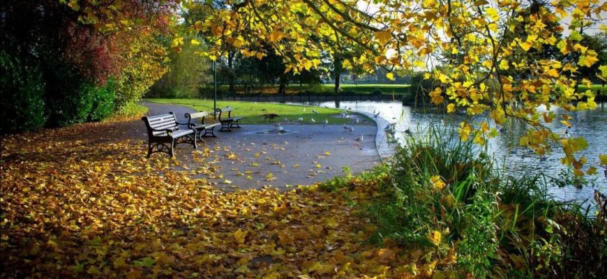 Синоптик розповіла, в яких областях України у вихідні буде прохолодніше і де пройдуть дощі,