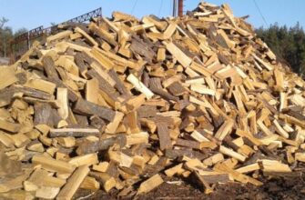 Ці дрова дешевші за бук і граб, а гріють так само добре! Ви не повірите, яка порода стала альтернативою