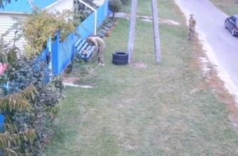 “ТЦК мобілізували кота”: Українці поширили відео з викраденням тварини на Київщині, військові відреагували
