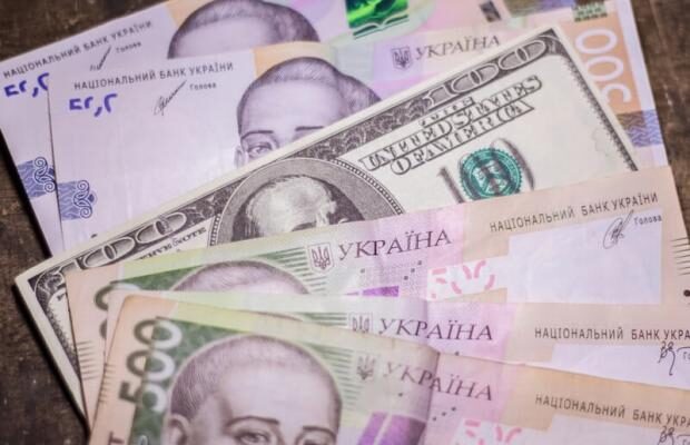 Українка випрала 7 тис. грн, а потім їх з’їв собака: Чим усе закінчилось (відео)