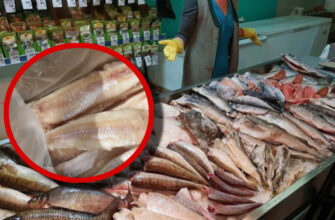 Ця риба — справжня отрута, але її й далі продають в українських магазинах