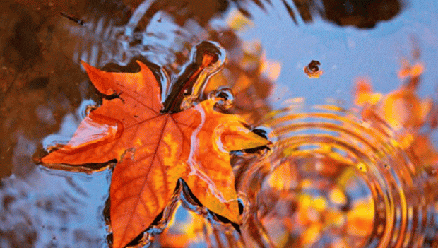 Значні температурні контрасти, холодні дощі: Погода в Україні на 2 жовтня