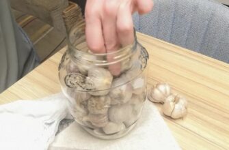 Не кладу часник ні в холодильник, ні в погріб: зберігаю у цьому місці – лежить до літа, наче щойно з грядки