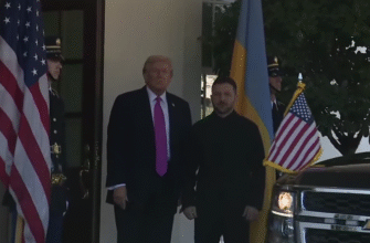 Зупинити війну негайно: що вирішили Зеленський та Трамп