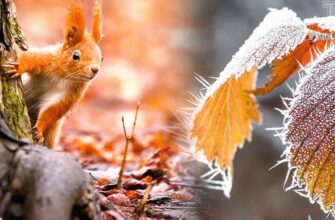 Погода влаштує Україні американські гірки — від +14 до мінусових температур найближчими днями