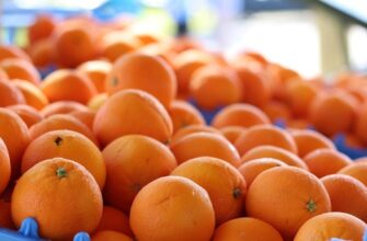 Чому апельсини продають у червоних сітках — не впіймайтеся на цю хитрість