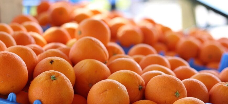 Чому апельсини продають у червоних сітках — не впіймайтеся на цю хитрість