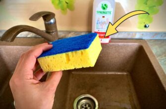 Підходить тільки 1 місце: де правильно зберігати губки для посуду, аби вони не пліснявіли. Я була здивована