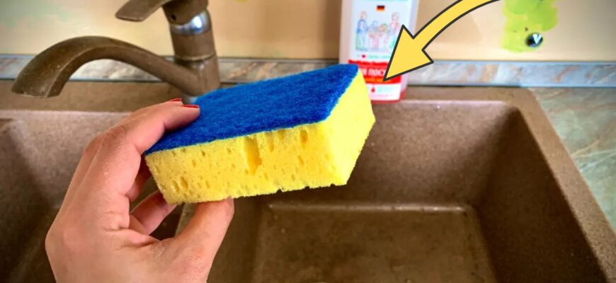 Підходить тільки 1 місце: де правильно зберігати губки для посуду, аби вони не пліснявіли. Я була здивована