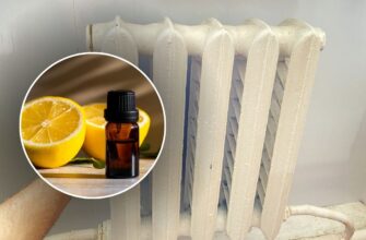 Капаю на радіатор по 6 крапель ефірної олії апельсина – аромат вдома стоїть, як у дорогому готелі