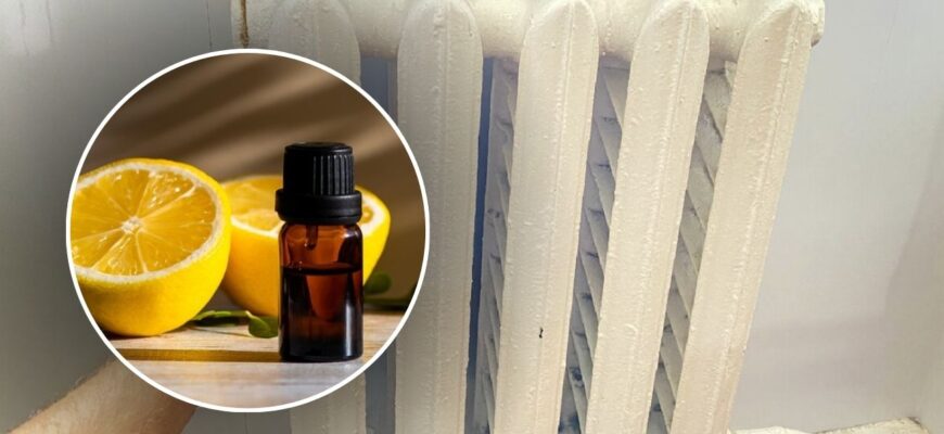 Капаю на радіатор по 6 крапель ефірної олії апельсина – аромат вдома стоїть, як у дорогому готелі
