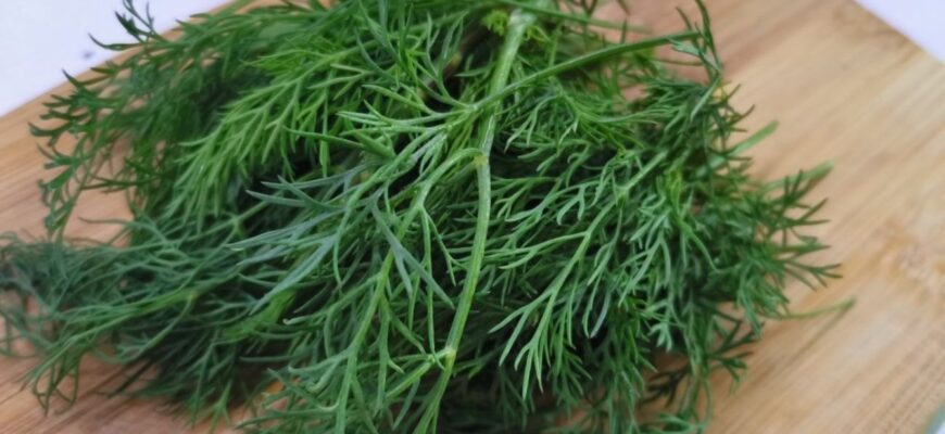 Хитрий спосіб посіяти кріп до 15 листопада: інструкція, як отримати перші сходи найшвидше за всіх сусідів