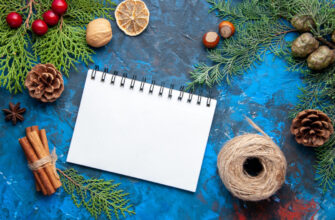 Місячний посівний календар на грудень 2025 року: що і коли сіяти, щоб отримати великий урожай