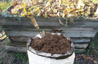 Лити “це” в компост повинен кожен дачник: до весни навіть від гілок і кісток нічого не залишиться