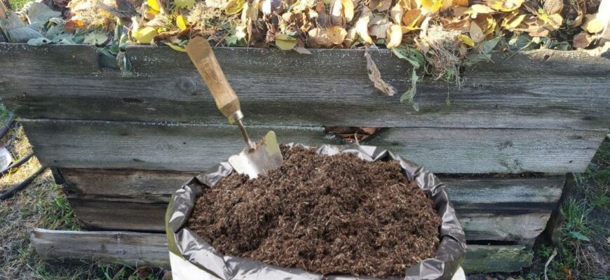 Лити “це” в компост повинен кожен дачник: до весни навіть від гілок і кісток нічого не залишиться
