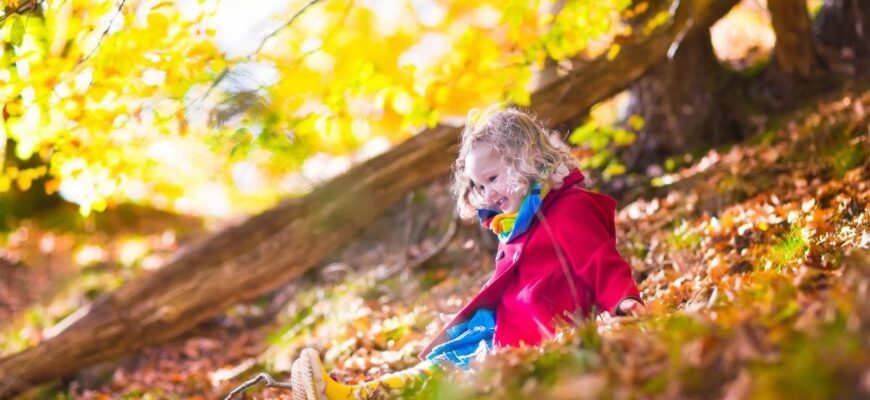 В Україну прийде друге “бабине літо”: коли чекати на аномально теплу погоду