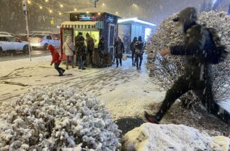 Снігопади накриють половину країни: названо дату морозної холоднечі