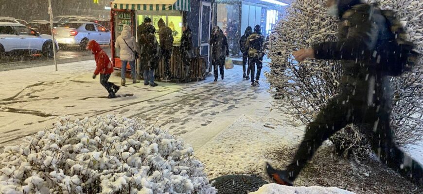 Снігопади накриють половину країни: названо дату морозної холоднечі