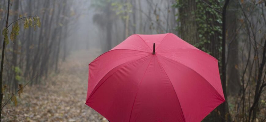 Циклон з Румунії несе до України дощі та похолодання: де зіпсується погода