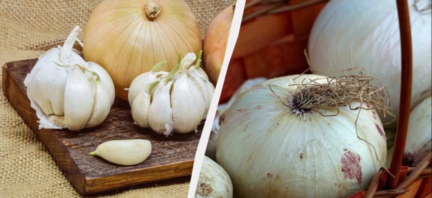 Не в холодильнику: де зберігати цибулю і часник місяцями, щоб не гнили і не проростали