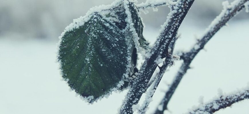 Влупить -4 градуси: названо регіони, де буде мороз