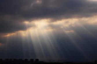 Синоптики розповіли про погоду в Україні на завтра: до чого готуватись прямо зранку