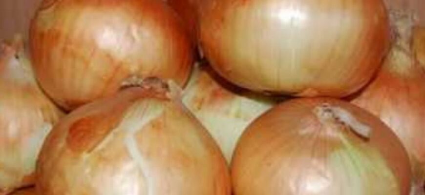 Не тільки часник і цибуля: ці 2 культури можна сіяти прямо зараз – буде мега урожай