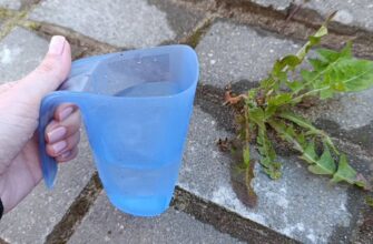 Вилила окріп уздовж паркану – і бур’яни зникли не те, що за 24 години – за 1 ніч: дія на рівні гербіцидів