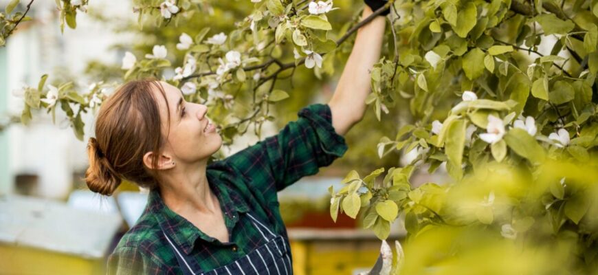 1 помилка, і кора на фруктових деревах тріскається моментально: дід-львівʼянин підказав