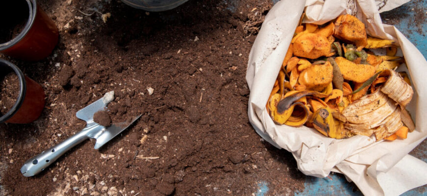 Коли ґрунт в саду промерз, не робіть ніколи ось ЦЕ: 5 порад, які збережуть ваші рослини