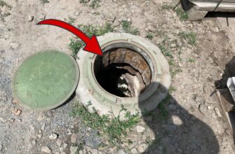 Заливаю на початку листопада – і вигрібна яма не заповнюється: від запаху та відкладень немає і сліду!