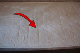 Кладу під матрац 1 листочок – і міль, клопи та кліщі відступають: старий сільський засіб для чистоти ліжка