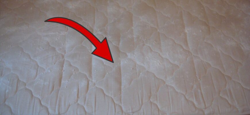 Кладу під матрац 1 листочок – і міль, клопи та кліщі відступають: старий сільський засіб для чистоти ліжка