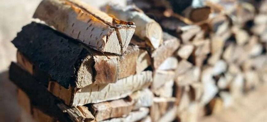 Як топити піч сирими дровами та економити паливо: поради для ефективного обігрівання