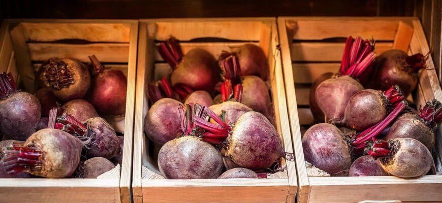 Насипала на буряк і забула до весни: лежить по 8-10 місяців як миленький, не жухне, не гниє