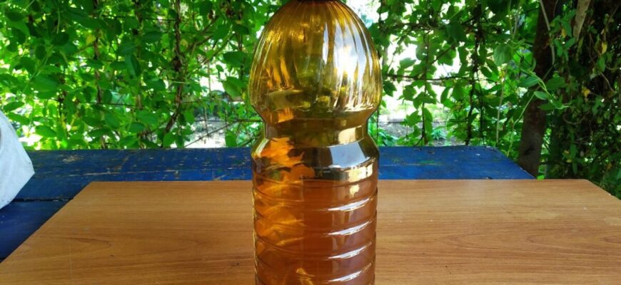 Відрізала верхівку від пляшки: всього 15 хв і кухонний “гаджет” готовий. Розповідаємо, для чого він треба