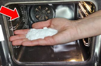 Бабуся-господиня навчила чистити духовку без світла та витрат: 1 жменя суміші – і жир відійшов за 5 хв