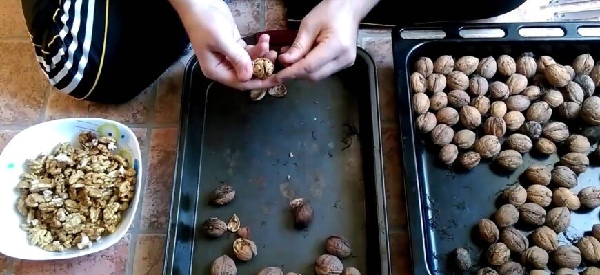 Підслухала у черзі на базарі, як швидко почистити волоські горіхи: 3 робочі способи для простоти процесу