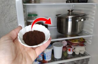 Поставила у холодильник 1 склянку із “цим” – і вирішила популярну проблему: кмітлива бабуся дала цю пораду