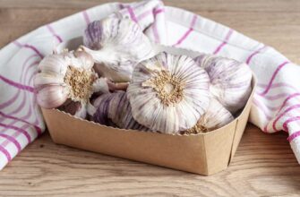 7 правил на замітку кожному дачнику: ось як слід вирощувати озимий часник у 2025-му