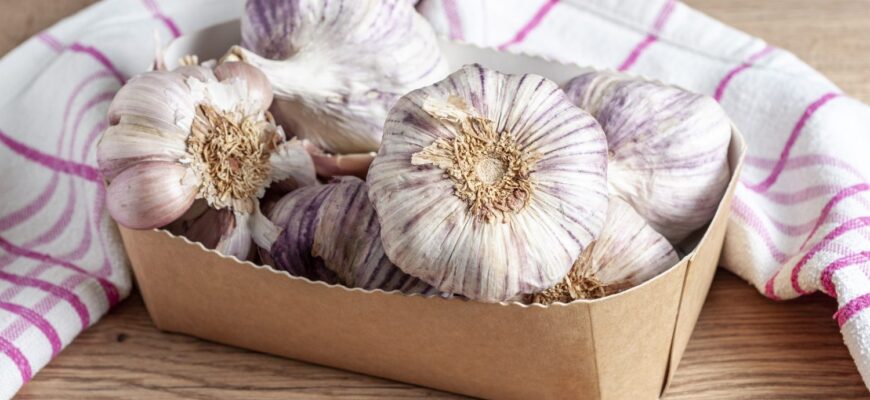 7 правил на замітку кожному дачнику: ось як слід вирощувати озимий часник у 2025-му