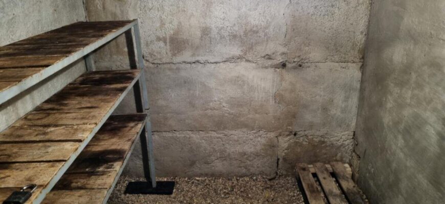 Роблю ці 3 незамислуваті дії, і в моєму погребі завжди сухо: зробіть сьогодні та забудьте про вогкість