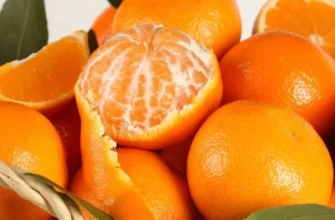 Як вибрати солодкі мандарини за зовнішніми ознаками